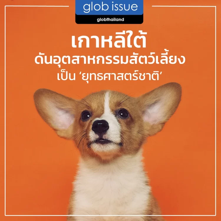 เกาหลีใต้พร้อม! ผลักดันอุตสาหกรรมที่เกี่ยวข้องกับสัตว์เลี้ยงให้เป็นอุตสาหกรรมยุทธศาสตร์ระดับชาติ 