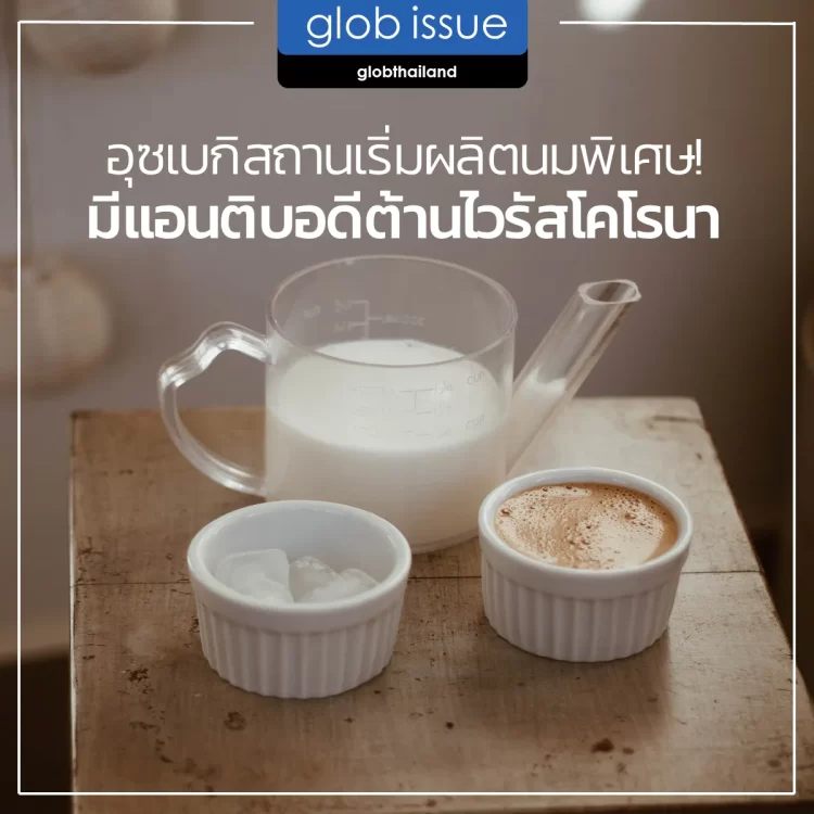 อุซเบกิสถานเริ่มผลิตนมพิเศษ! มีแอนติบอดีต้านไวรัสโคโรนา