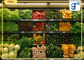 ทางการแคนาดาย้ำห้างค้าปลีกรายใหญ่หาวิธีลดขยะพลาสติก