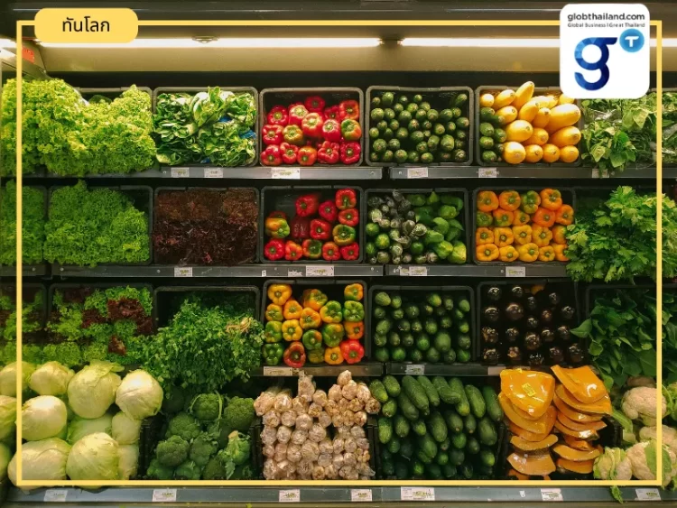 ทางการแคนาดาย้ำห้างค้าปลีกรายใหญ่หาวิธีลดขยะพลาสติก