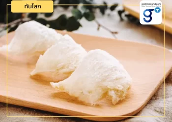 “รังนกญวน” บุกตลาดจีนครั้งแรกผ่านกว่างซี ที่นั่งของรังนกไทยในตลาดจีนอยู่ตรงไหน?