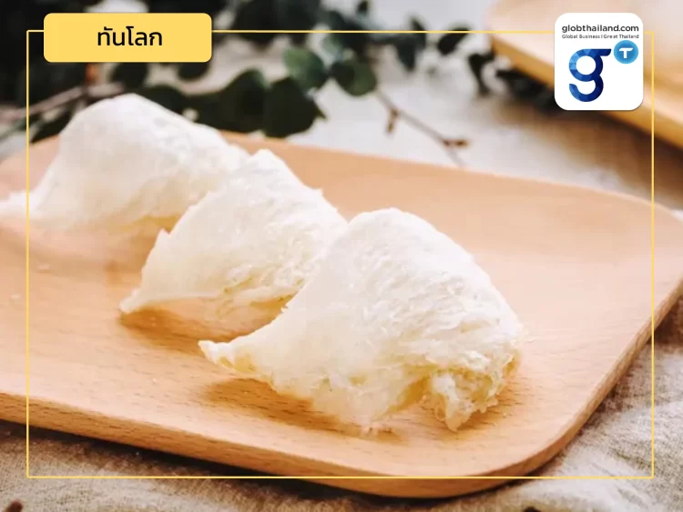 “รังนกญวน” บุกตลาดจีนครั้งแรกผ่านกว่างซี ที่นั่งของรังนกไทยในตลาดจีนอยู่ตรงไหน?