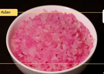 เกาหลีใต้พัฒนา ‘ข้าวเนื้อวัว’ แหล่งสารอาหารโปรตีนสำหรับอนาคต