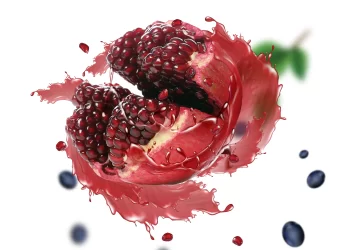 2nd Edition and International Food Show Africa (IFSA 2024)