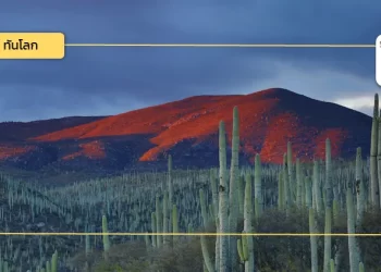 ประเด็นน่าสนใจจากการเสวนา “Nearshoring Investment: Sharing Thailand’s and Mexico’s Experiences”