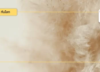 กว่างซีต้องการ “ขนเป็ด”  โอกาสของผู้ส่งออกไทย 