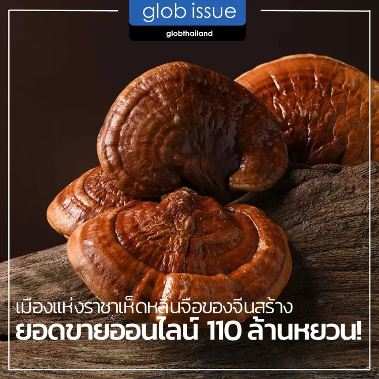 เมืองแห่งราชาเห็ดหลินจือของจีนสร้างยอดขายออนไลน์ 110 ล้านหยวน!