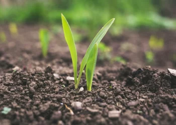 Nairobi International Trade Fair 2024