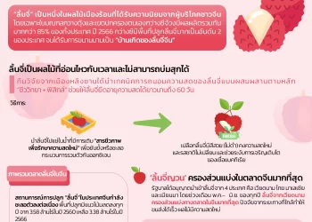 Info : กว่างซีใช้เทคโนโลยี ‘ล็อก’ ความสด – ยืดอายุลิ้นจี่ 