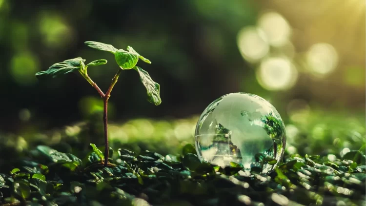 สรุปสาระสำคัญจากงาน ‘Future Forum Green Hydrogen: Geopolitics of Decarbonization and Net-Zero Economies’