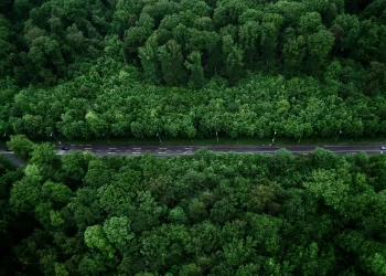 เครื่องมือขับเคลื่อนการลงทุนสีเขียวเพื่อบรรลุเป้าหมาย “Net Zero” (ตอนที่ 1)