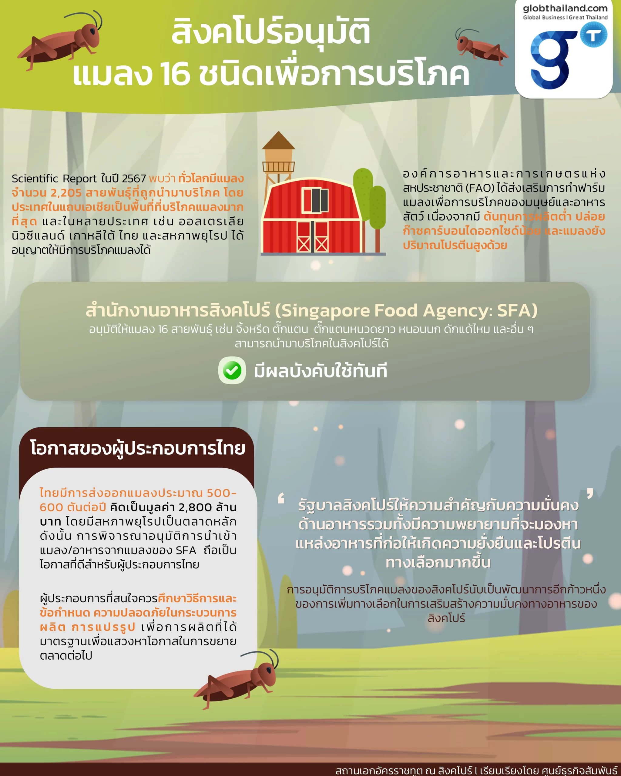 Info : สิงคโปร์อนุมัติแมลง 16 ชนิดเพื่อการบริโภค – Glob Thailand