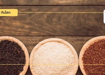 กรมศุลกากรไนจีเรียประกาศยกเว้นอากรศุลกากรสําหรับการนําเข้าอาหารจําเป็น 