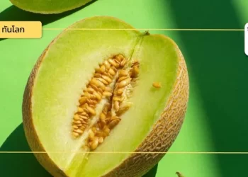 บรูไน ยกระดับสวนเกษตรด้วยเทคโนโลยี AI