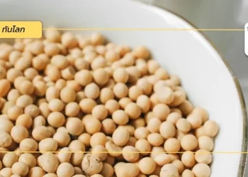 แนวทางการเพาะปลูกถั่วเหลืองในแบบฉบับ “ไร่ LaTerra Partners” รัฐอิลลินอยส์ 