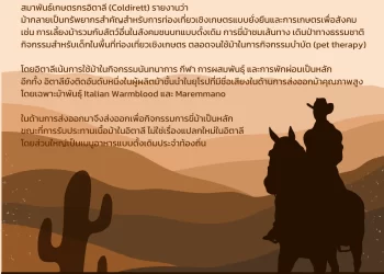 Info : อิตาลีให้ความสำคัญกับม้าซึ่งเป็นทรัพยากรสําหรับการท่องเที่ยวและการเกษตรเพื่อสังคม