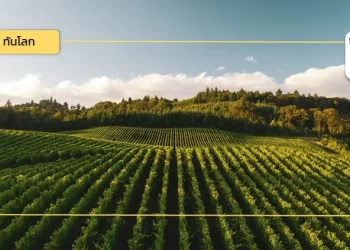 Climate Farming การเกษตรแนวใหม่ ที่คำนึงถึงสภาพภูมิอากาศและโซลูชั่นชีวภาพ เพื่ออนาคตของภาคการเกษตรและการผลิตอาหาร