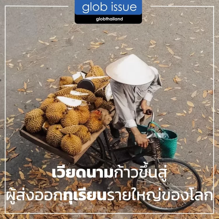 เวียดนามก้าวขึ้นสู่ผู้ส่งออกทุเรียนรายใหญ่ของโลก