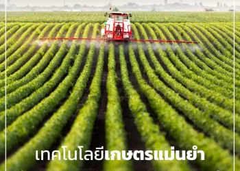 เทคโนโลยีเกษตรแม่นยำ (Precision Farming) ในภาคการเกษตรของฮังการี