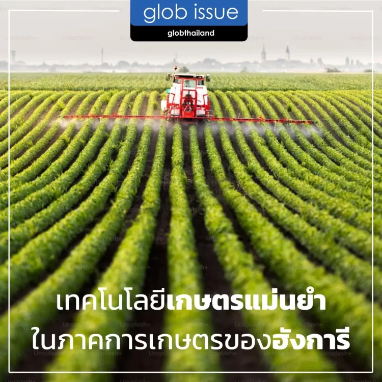 เทคโนโลยีเกษตรแม่นยำ (Precision Farming) ในภาคการเกษตรของฮังการี