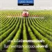 เทคโนโลยีเกษตรแม่นยำ (Precision Farming) ในภาคการเกษตรของฮังการี