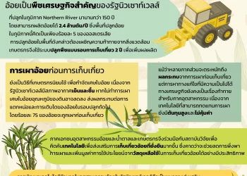 เทคโนโลยีกําจัดและเพิ่มมูลค่าขยะจากอ้อยในรัฐนิวเซาท์เวลส์ ออสเตรเลีย