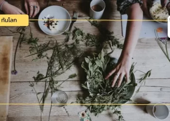 การแพทย์อายุรเวทในฮังการีและโอกาสสำหรับประเทศไทย