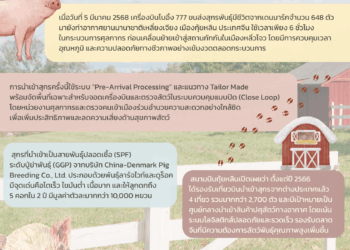 จีนเปิดทางนำเข้าสุกรพันธุ์จากเดนมาร์ก กว่างซีชูสนามบินกุ้ยหลินเป็นศูนย์กลางโลจิสติกส์ปศุสัตว์