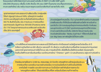 จีนเปิดทางนำเข้าสุกรพันธุ์จากเดนมาร์ก กว่างซีชูสนามบินกุ้ยหลินเป็นศูนย์กลางโลจิสติกส์ปศุสัตว์