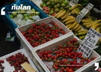 ฮ่องกง ตลาดผลไม้ส่งออกสำคัญของไทย โตแรงแม้เศรษฐกิจผันผวน