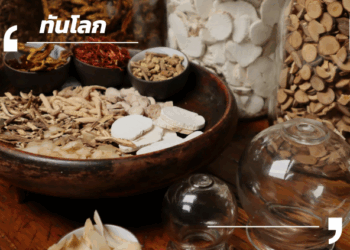 กานซูโชว์ศักยภาพสมุนไพรจีน ติงซีขึ้นแท่นแหล่งผลิตอันดับหนึ่ง