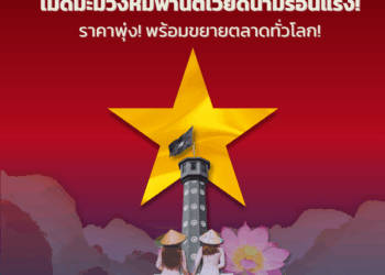 เม็ดมะม่วงหิมพานต์เวียดนามร้อนแรง! ราคาพุ่ง! พร้อมขยายตลาดทั่วโลก!