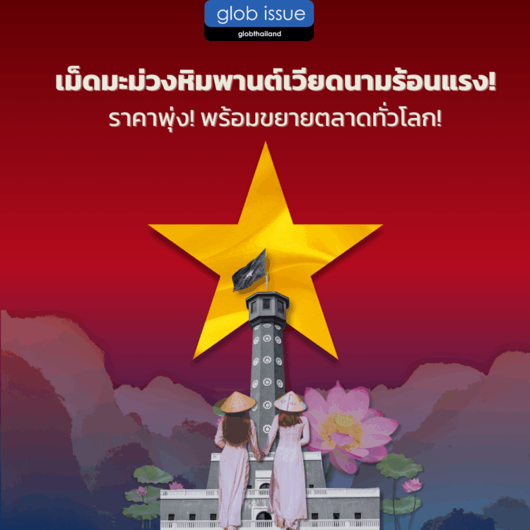 เม็ดมะม่วงหิมพานต์เวียดนามร้อนแรง! ราคาพุ่ง! พร้อมขยายตลาดทั่วโลก!