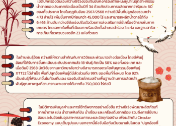 กว่างซีรุกพัฒนาอุตสาหกรรมน้ำตาลครบวงจร ต้นแบบใหม่ของภูมิภาค