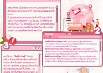 “เจาะกลยุทธ์ลิ้นจี่กว่างซี: เมื่อ ‘การขนส่ง’ กลายเป็นหัวใจของธุรกิจผลไม้สด”