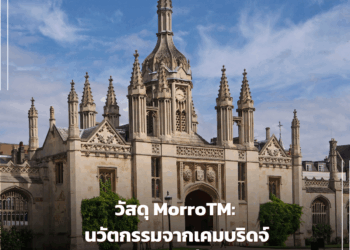 วัสดุ MorroTM: นวัตกรรมจากเคมบริดจ์สู่ทางออกระดับโลกเพื่อขจัดพลาสติก