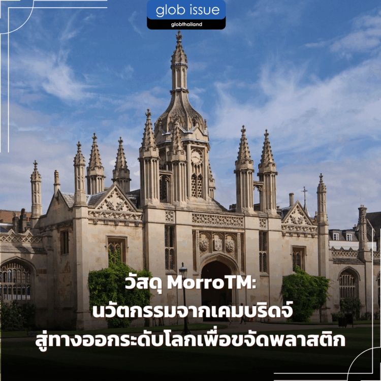 วัสดุ MorroTM: นวัตกรรมจากเคมบริดจ์สู่ทางออกระดับโลกเพื่อขจัดพลาสติก