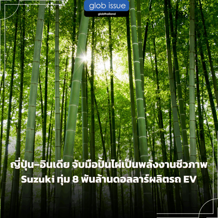 ญี่ปุ่น–อินเดีย จับมือปั้นไผ่เป็นพลังงานชีวภาพ Suzuki ทุ่ม 8 พันล้านดอลลาร์ผลิตรถ EV