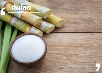 “กากอ้อย” จุดเปลี่ยนเศรษฐกิจลาว สร้างสมดุลระหว่างการผลิตและสิ่งแวดล้อม