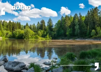 ต้นไม้งาม คนก็งดงาม… ฟินแลนด์ ผืนป่าแห่งความยั่งยืนและแบบอย่างของโลก