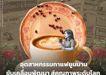 อุตสาหกรรมกาแฟยูนนานขับเคลื่อนพัฒนา สู่คุณภาพระดับโลก