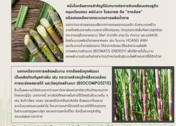 “กากอ้อย” จุดเปลี่ยนเศรษฐกิจลาว สร้างสมดุลระหว่างการผลิตและสิ่งแวดล้อม