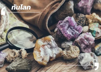 เวียดนามชูแร่หายากเป็นอาวุธเศรษฐกิจ ยกระดับสู่ห่วงโซ่อุปทานโลก