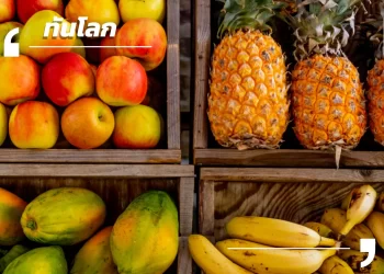 ญี่ปุ่นเร่งนำเข้าผัก–ผลไม้พุ่ง เปิดโอกาสสินค้าเกษตรไทยบุกตลาด