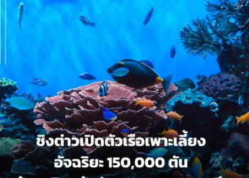 ชิงต่าวเปิดตัวเรือเพาะเลี้ยงอัจฉริยะ 150,000 ตัน พร้อมเดินหน้าสู่อุตสาหกรรมทะเลลึก!