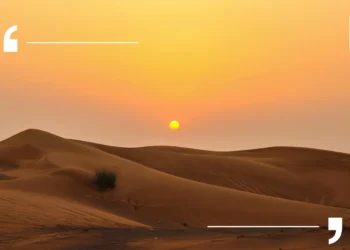 UAE ปรับภาษีน้ำตาลใหม่ ใช้อัตราขั้นบันไดตามปริมาณน้ำตาล