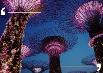 เจาะตลาดสิงคโปร์ โอกาสและความท้าทายสินค้าเกษตรไทยในเวทีโลก 